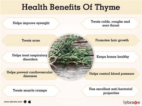 Benefits of Thyme And Its Side Effects | Lybrate