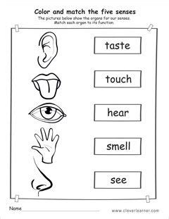 Image result for 5 senses activity for preschool | Senses activities