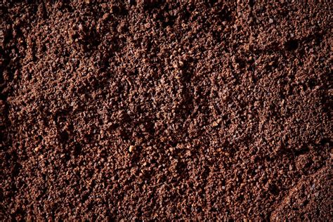 What To Know About Loam Soil for Your Garden | The Family Handyman