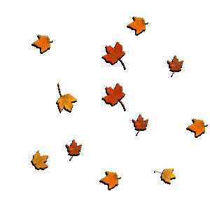 falling leaves animated gif images & Animations 100% FREE!