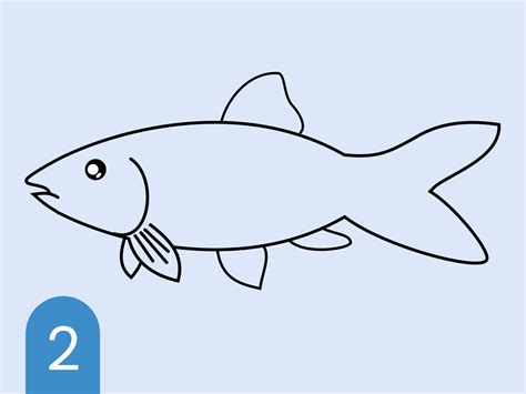 Cara Menggambar Ikan Botia Dario | Siswapedia