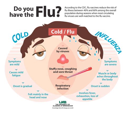 UAB - News - Physicians react to flu forecasts, recommend preparing now ...