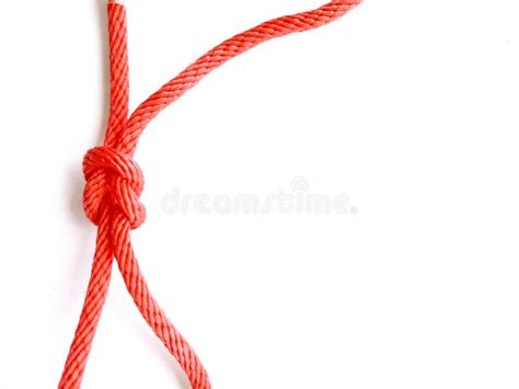 Rope Knots stock illustration. Illustration of graphic - 9263973