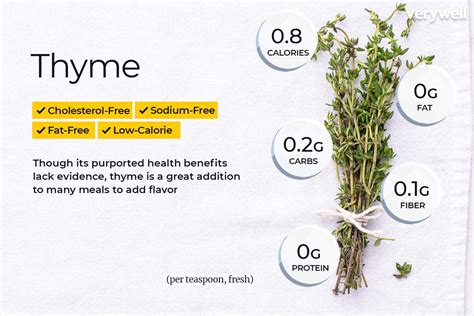 Thyme Benefits, Side Effects, and Preparations