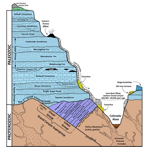 Visual : A Geologic Cross Section of the Grand Canyon - Infographic.tv ...