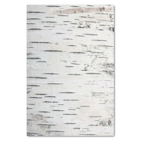 Country Rustic Birch Tree Bark Tissue Paper | Zazzle.com