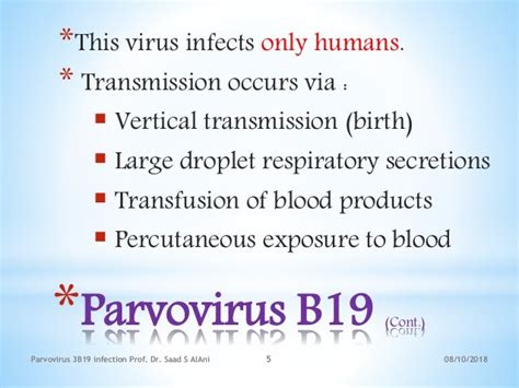 Parvovirus b19 infection