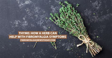 Thyme: How a Herb Can Help With Fibromyalgia Symptoms - Fibromyalgia ...