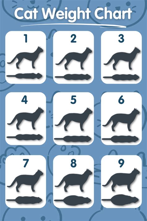 Cat Weight Chart | Healthy Cat Weight | Pet Drugs Online