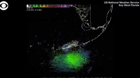 Migrating birds appear on weather radar | WANE 15