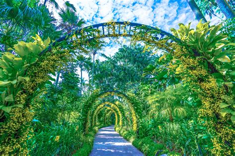 Singapore Botanic Gardens: the first UNESCO World Heritage Site in ...