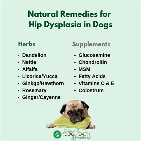 Hip Dysplasia in Dogs