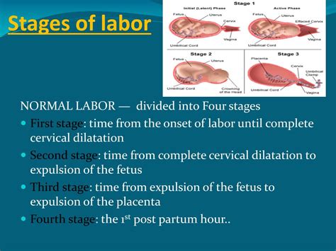 PPT - First Stage of Labor PowerPoint Presentation, free download - ID ...