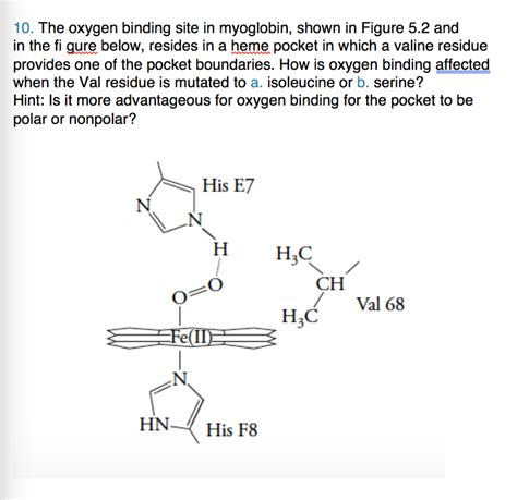 Solved 10. The oxygen binding site in myoglobin, shown in | Chegg.com