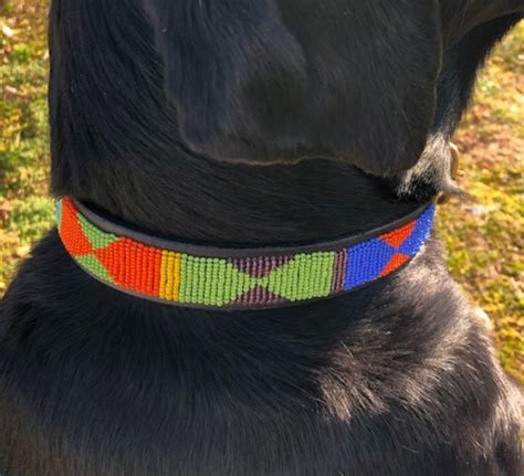 Large Maasai Beaded Dog Collars | Etsy