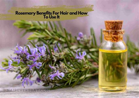 Rosemary For Hair Benefits | 4 Important Reasons, How To Use, Hair ...