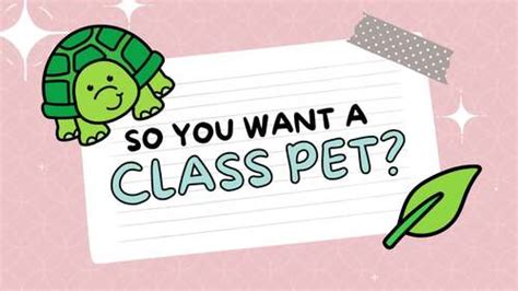 Turtle Class Pet Journal *Editable by Ms Jenessas Desk | TPT