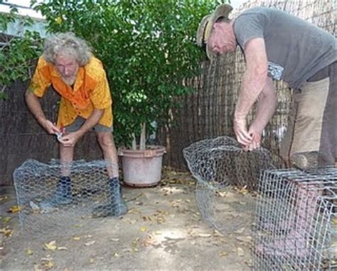 Land for Wildlife & Garden for Wildlife Alice Springs: Spring - The ...