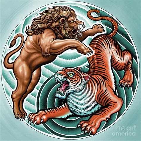 Lion Vs Tiger Fight