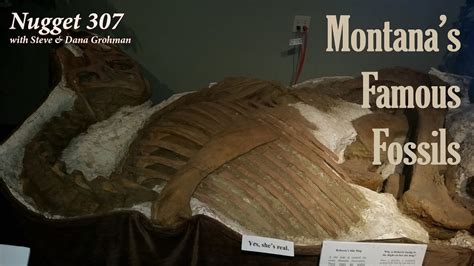 Montana's Famous Fossils - YouTube