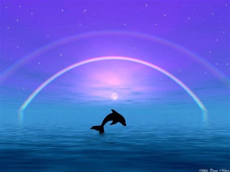 Cute Dolphin Wallpapers - Wallpaper Cave