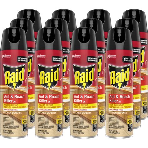 Raid Ant/Roach Killer Spray - Spray - Kills Ants, Cockroaches, Waterbug ...