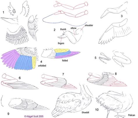 Folded Bird Wings by ~keaalu on deviantART Creature Drawings, Animal ...