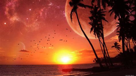 Tropical Sunset For PC & Mac, Tablet, Laptop, dusk HD wallpaper | Pxfuel