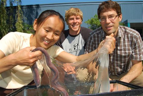 Biophysics of hagfish slime | Douglas Fudge