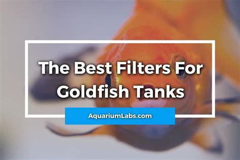 7 Best Filters for Goldfish Tanks [2023 Reviews & Guide]