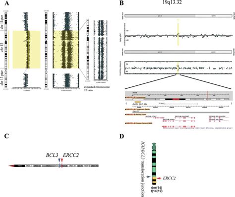 Single Nucleotide Polymorphism (SNP) array analysis. a Confirmation of ...