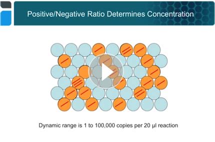 Introduction to Droplet Digital™ PCR: Workflow and Applications | Bio-Rad