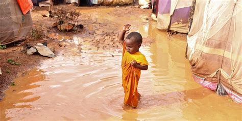 Heavy flooding hammers vulnerable communities in Somalia | NRC