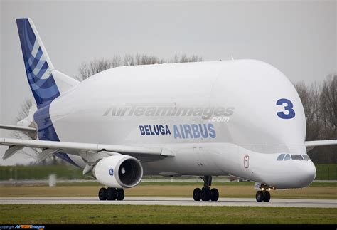 First look at the new Airbus 390. : aviation