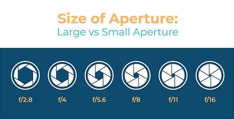 What is Aperture: Camera Aperture Definition & Examples