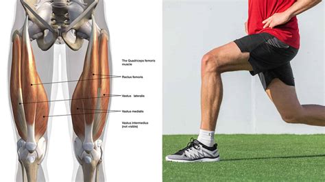 10 Quadriceps Exercises That Build Muscle Fast (Without Using the Gym)