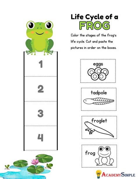 Life Cycle Of A Frog Printable Science Worksheets Science – Theme Route