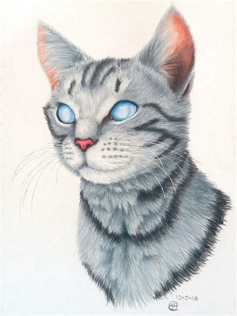 Realistic Cat Drawing at PaintingValley.com | Explore collection of ...