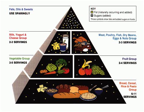 Food pyramid - Simple English Wikipedia, the free encyclopedia