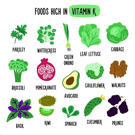 Foods High in vitamin K. Vector illustration with healthy foods rich in ...