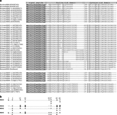 a Amino acid sequence analysis of penaeidins from different penaeid ...