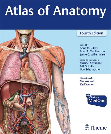 Atlas of Anatomy | 9781684202034 | Thieme Webshop