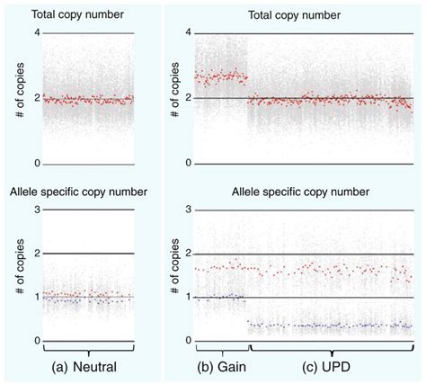 SNP array analysis to identify areas of altered copy number and allelic ...