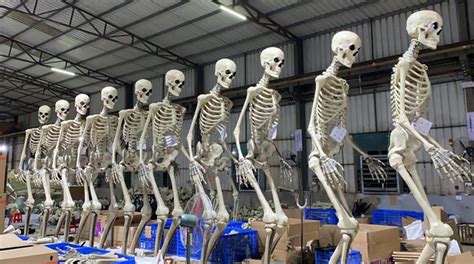 The Home Depot | 12-Foot Skeletons Return: Associate Shares Halloween ...