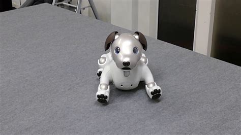 Revival of Sony’s Aibo, the AI robot dog [RAW VIDEO] - YouTube