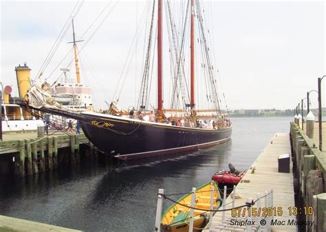 Shipfax: Bluenose II back in port - or is it