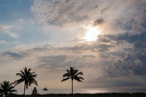 Summer Sunset with Palm Trees in Miami Stock Image - Image of holiday ...