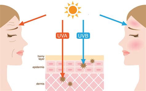 How The Various Types Of UV Rays Affect Your Skin? – SkinKraft