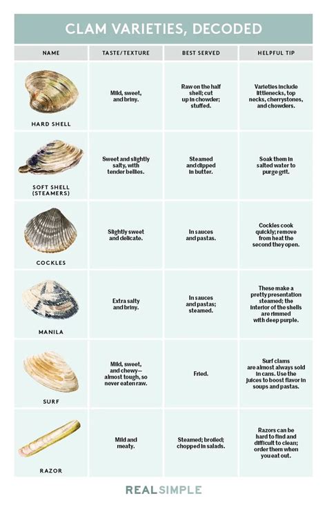 6 Types of Clams and How They Are Best Served | Clam recipes, Clams ...