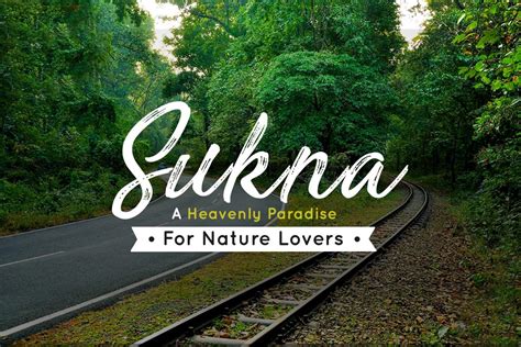 Sukna Forest Siliguri - A Heavenly Paradise for Nature Lovers